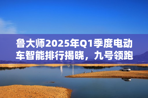 鲁大师2025年Q1季度电动车智能排行揭晓，九号领跑高端市场，极核与绿源智能化崭露头角