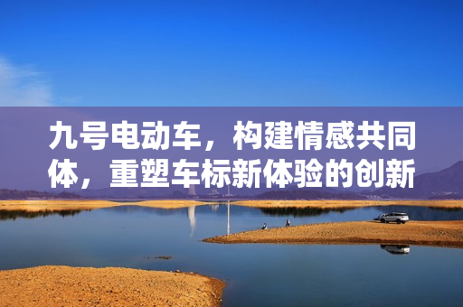 九号电动车，构建情感共同体，重塑车标新体验的创新实践