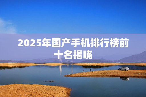 2025年国产手机排行榜前十名揭晓