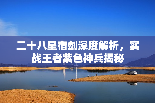 二十八星宿剑深度解析，实战王者紫色神兵揭秘