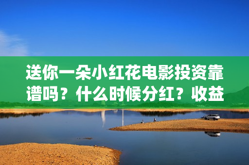 送你一朵小红花电影投资靠谱吗？什么时候分红？收益怎么算(送你一朵小红花歌词)