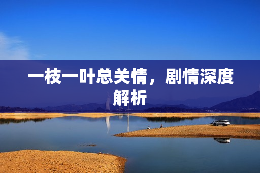 一枝一叶总关情，剧情深度解析