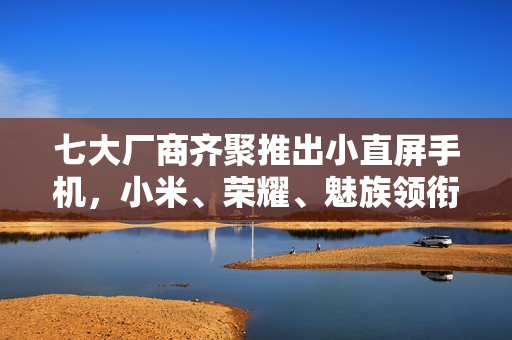 七大厂商齐聚推出小直屏手机，小米、荣耀、魅族领衔亮相
