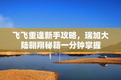 飞飞重逢新手攻略，瑞加大陆翱翔秘籍一分钟掌握