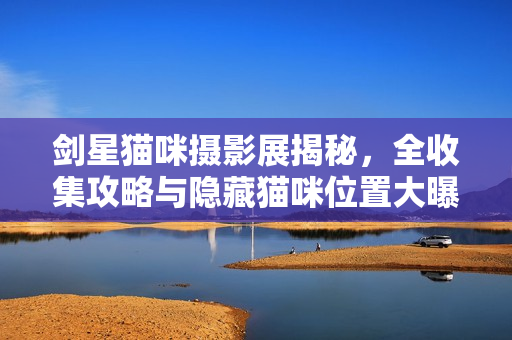 剑星猫咪摄影展揭秘，全收集攻略与隐藏猫咪位置大曝光