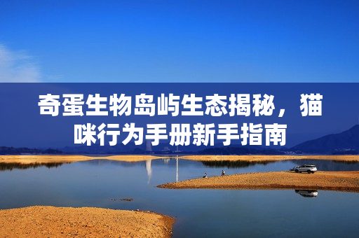 奇蛋生物岛屿生态揭秘，猫咪行为手册新手指南