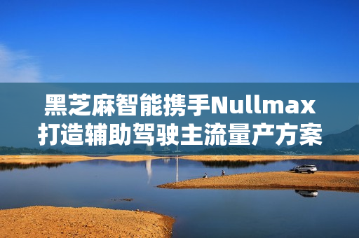 黑芝麻智能携手Nullmax打造辅助驾驶主流量产方案，从高配走向普惠时代