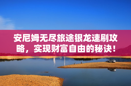 安尼姆无尽旅途银龙速刷攻略，实现财富自由的秘诀！