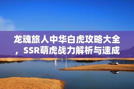 龙魂旅人中华白虎攻略大全,SSR萌虎战力解析与速成手册 龙魂旅人中华白虎攻略大全,SSR萌虎战力解析与速成手册