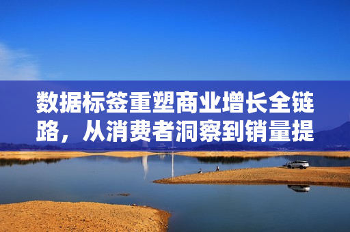数据标签重塑商业增长全链路，从消费者洞察到销量提升的策略之道