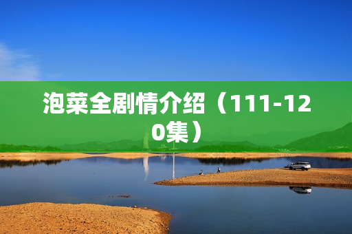 泡菜全剧情介绍（111-120集）