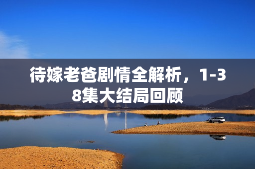 待嫁老爸剧情全解析，1-38集大结局回顾