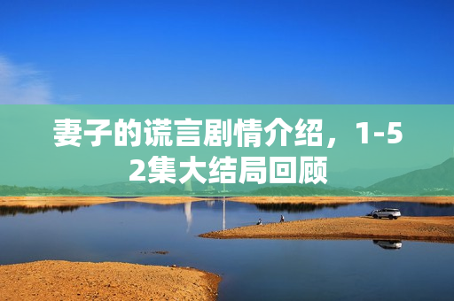 妻子的谎言剧情介绍，1-52集大结局回顾