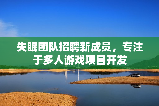 失眠团队招聘新成员，专注于多人游戏项目开发