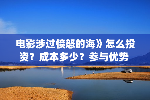 电影涉过愤怒的海》怎么投资？成本多少？参与优势 (电影涉过愤怒的海定档)
