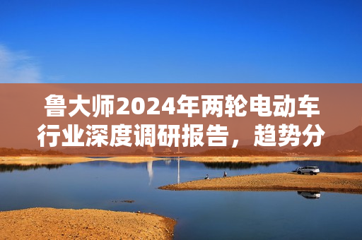 鲁大师2024年两轮电动车行业深度调研报告，趋势分析与前景展望