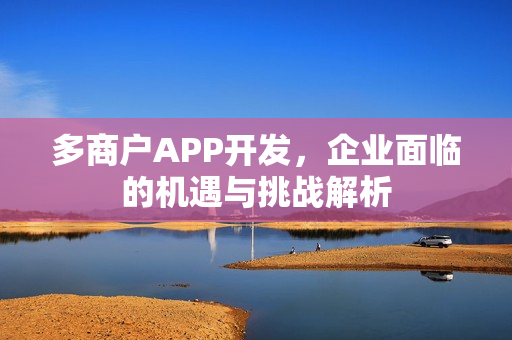 多商户APP开发,企业面临的机遇与挑战解析 多商户APP开发,企业面临的机遇与挑战解析