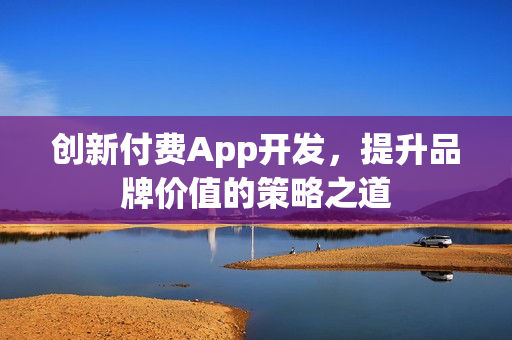 创新付费App开发，提升品牌价值的策略之道