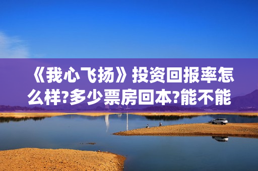 《我心飞扬》投资回报率怎么样?多少票房回本?能不能赚钱?(电影我心飞扬)