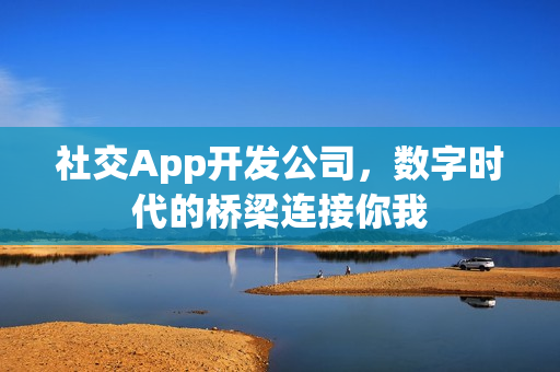 社交App开发公司，数字时代的桥梁连接你我
