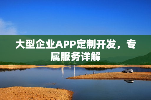 大型企业APP定制开发，专属服务详解