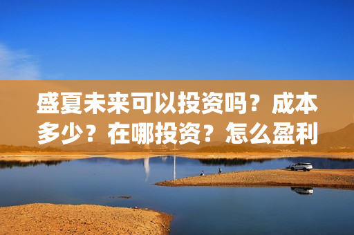 盛夏未来可以投资吗？成本多少？在哪投资？怎么盈利？(盛夏未来能投吗)
