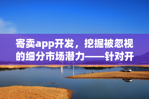寄卖app开发，挖掘被忽视的细分市场潜力——针对开发者的洞察