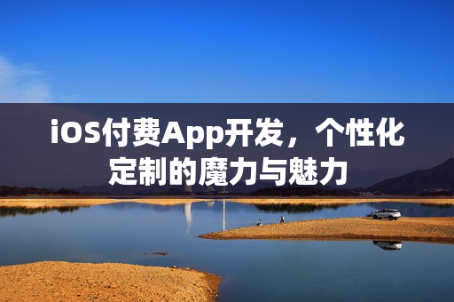 iOS付费App开发,个性化定制的魔力与魅力 iOS付费App开发,个性化定制的魔力与魅力