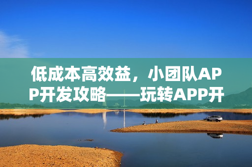 低成本高效益，小团队APP开发攻略——玩转APP开发不再是难题！