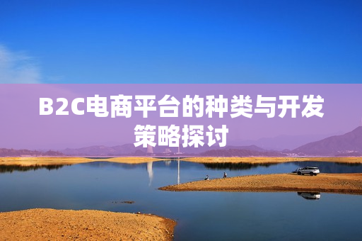 B2C电商平台的种类与开发策略探讨