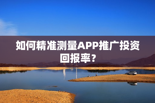 如何精准测量APP推广投资回报率？