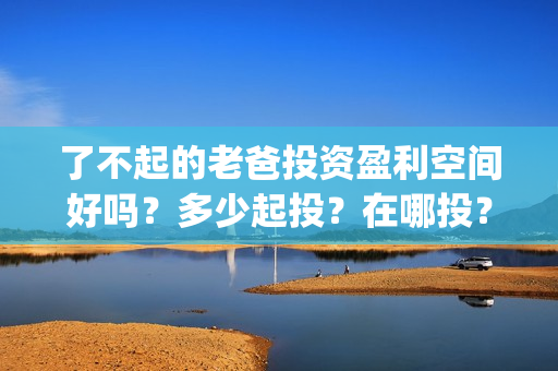 了不起的老爸投资盈利空间好吗？多少起投？在哪投？(了不起的老爸剧情解说)