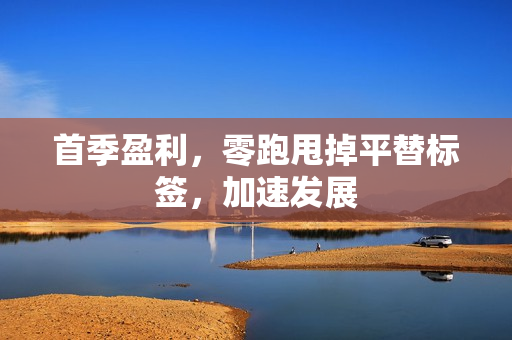 首季盈利，零跑甩掉平替标签，加速发展