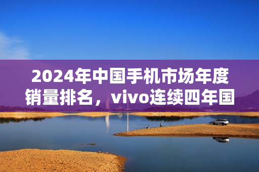 2024年中国手机市场年度销量排名，vivo连续四年国产第一，以17%市场份额夺冠