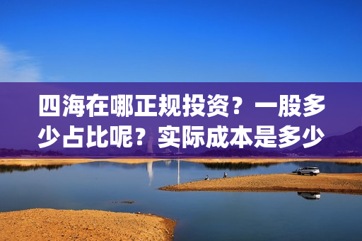 四海在哪正规投资？一股多少占比呢？实际成本是多少？(四海在哪正规投标公司)