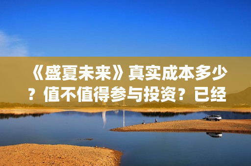 《盛夏未来》真实成本多少？值不值得参与投资？已经定档了吗？(盛夏未来zy)