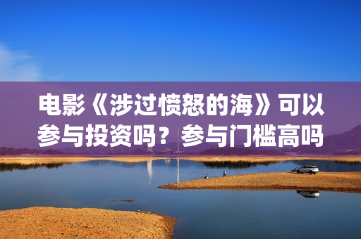 电影《涉过愤怒的海》可以参与投资吗？参与门槛高吗？(涉过愤怒的海小说在线阅读)