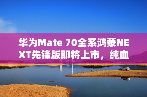 华为Mate 70全系鸿蒙NEXT先锋版即将上市，纯血鸿蒙系统手机重磅来袭