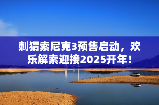 刺猬索尼克3预售启动，欢乐解索迎接2025开年！