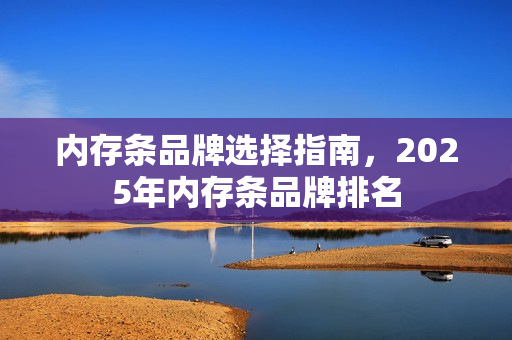 内存条品牌选择指南，2025年内存条品牌排名