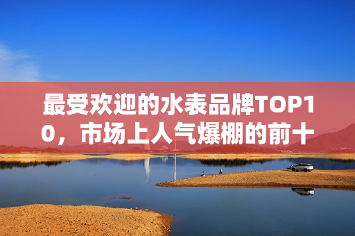 最受欢迎的水表品牌TOP10，市场上人气爆棚的前十名水表榜单