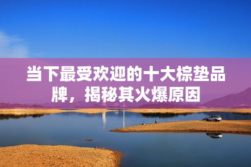 当下最受欢迎的十大棕垫品牌，揭秘其火爆原因