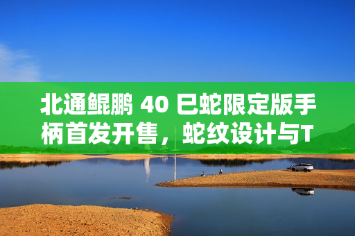 北通鲲鹏 40 巳蛇限定版手柄首发开售，蛇纹设计与TMR阻尼摇杆，仅售309元