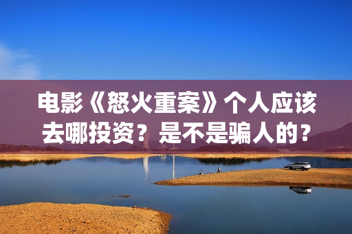 电影《怒火重案》个人应该去哪投资？是不是骗人的？(电影怒火重案国语高清版在线观看)