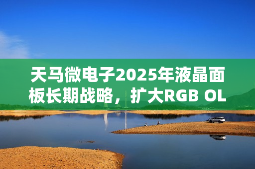 天马微电子2025年液晶面板长期战略，扩大RGB OLED商业环境并加强车载LTPS业务布局曝光
