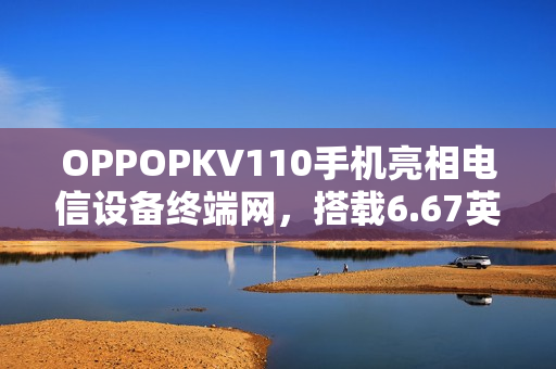 OPPOPKV110手机亮相电信设备终端网，搭载6.67英寸高清分辨率屏幕