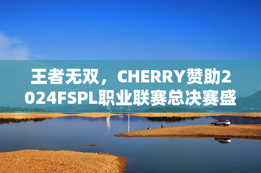 王者无双，CHERRY赞助2024FSPL职业联赛总决赛盛况