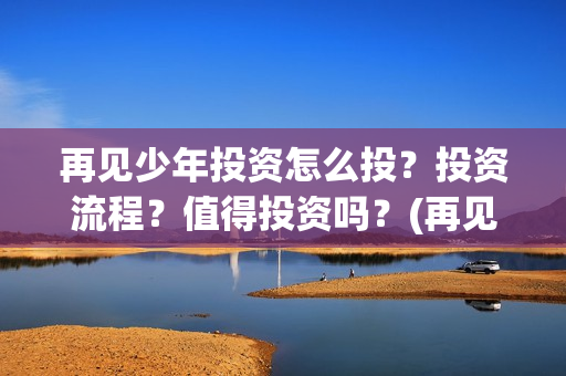 再见少年投资怎么投？投资流程？值得投资吗？(再见少年投资方)