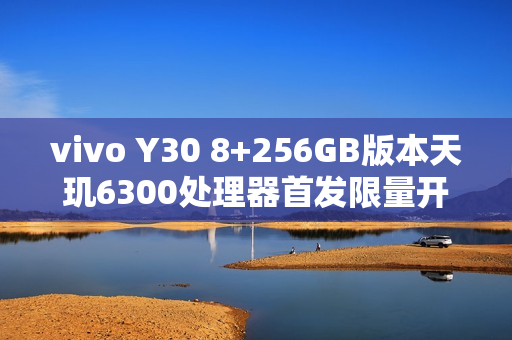 vivo Y30 8+256GB版本天玑6300处理器首发限量开售，后置扬声器设计，仅售1499元起