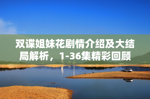 双谍姐妹花剧情介绍及大结局解析，1-36集精彩回顾